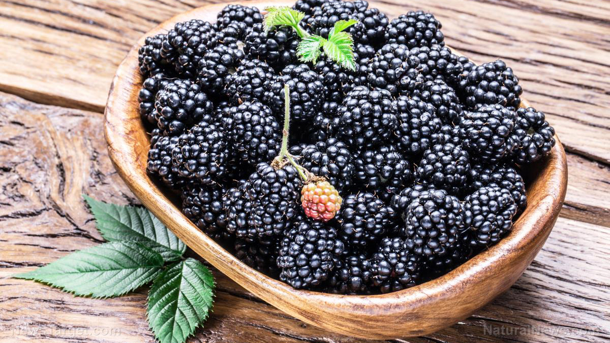 Ways To Preserve Blackberries For Long Term Storage